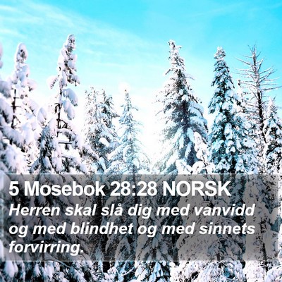 5 Mosebok 28:28 NORSK Bible Verse Image