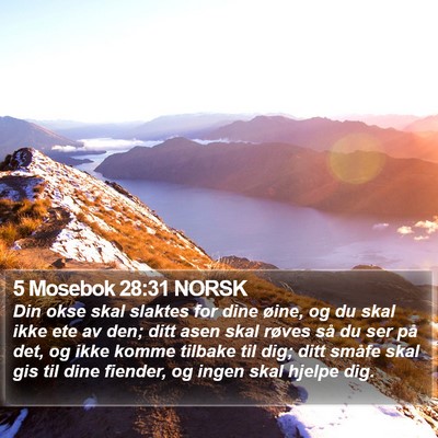 5 Mosebok 28:31 NORSK Bible Verse Image