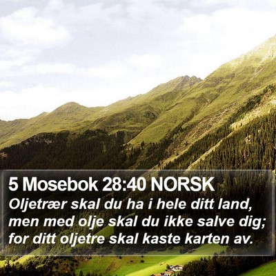 5 Mosebok 28:40 NORSK Bible Verse Image