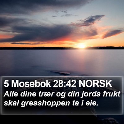5 Mosebok 28:42 NORSK Bible Verse Image
