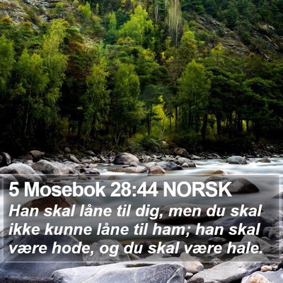 5 Mosebok 28:44 NORSK Bible Verse Image