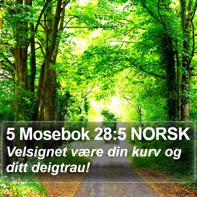 5 Mosebok 28:5 NORSK Bible Verse Image