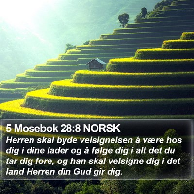 5 Mosebok 28:8 NORSK Bible Verse Image