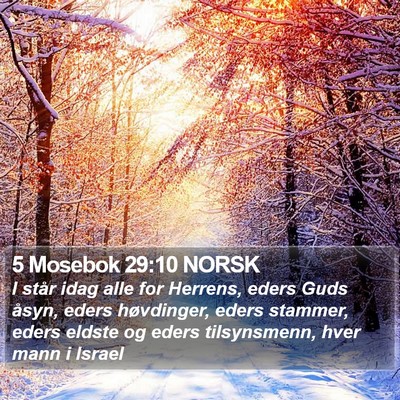 5 Mosebok 29:10 NORSK Bible Verse Image