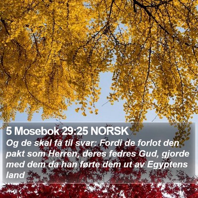 5 Mosebok 29:25 NORSK Bible Verse Image