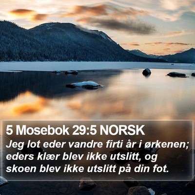 5 Mosebok 29:5 NORSK Bible Verse Image