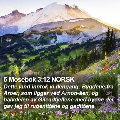 5 Mosebok 3:12 NORSK Bible Verse Image