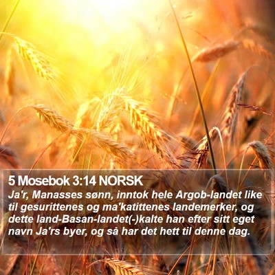 5 Mosebok 3:14 NORSK Bible Verse Image