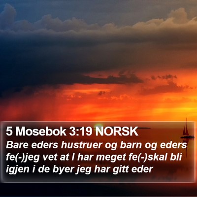 5 Mosebok 3:19 NORSK Bible Verse Image