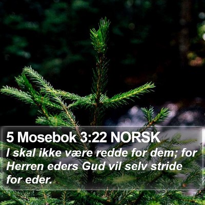 5 Mosebok 3:22 NORSK Bible Verse Image
