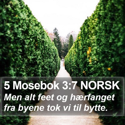 5 Mosebok 3:7 NORSK Bible Verse Image