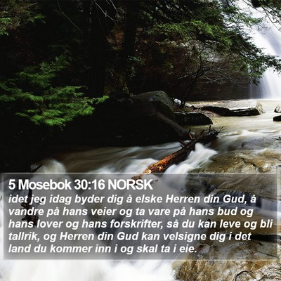 5 Mosebok 30:16 NORSK Bible Verse Image