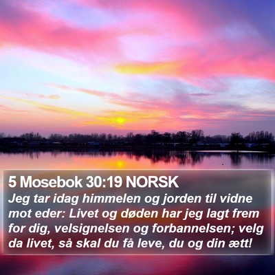5 Mosebok 30:19 NORSK Bible Verse Image