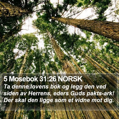 5 Mosebok 31:26 NORSK Bible Verse Image
