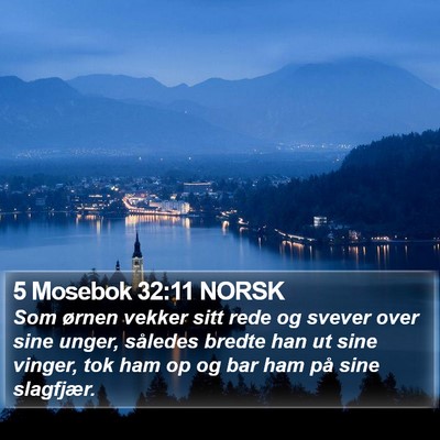 5 Mosebok 32:11 NORSK Bible Verse Image