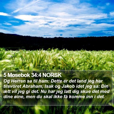 5 Mosebok 34:4 NORSK Bible Verse Image