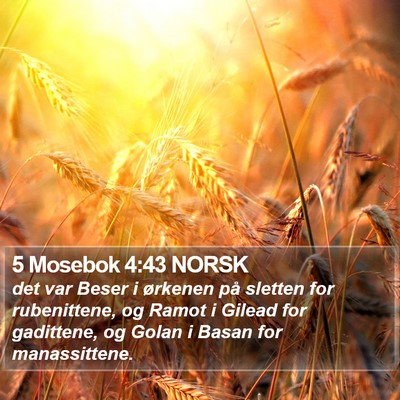 5 Mosebok 4:43 NORSK Bible Verse Image