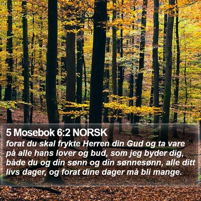 5 Mosebok 6:2 NORSK Bible Verse Image