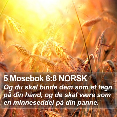 5 Mosebok 6:8 NORSK Bible Verse Image