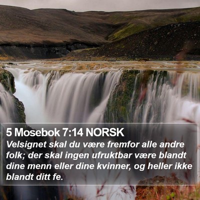 5 Mosebok 7:14 NORSK Bible Verse Image