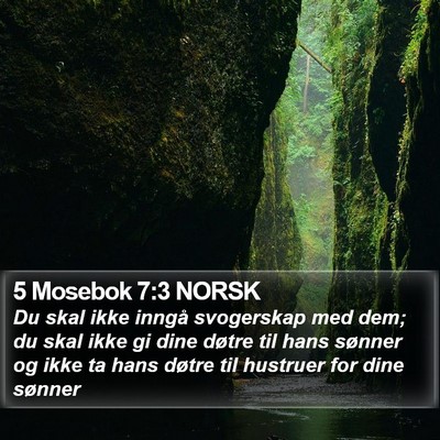 5 Mosebok 7:3 NORSK Bible Verse Image