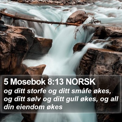 5 Mosebok 8:13 NORSK Bible Verse Image