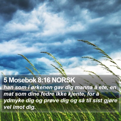 5 Mosebok 8:16 NORSK Bible Verse Image