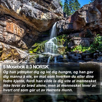5 Mosebok 8:3 NORSK Bible Verse Image