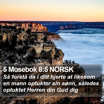 5 Mosebok 8:5 NORSK Bible Verse Image