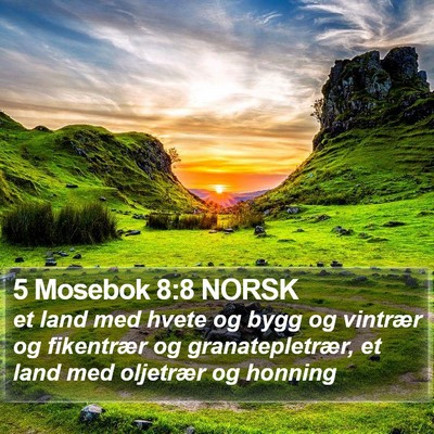 5 Mosebok 8:8 NORSK Bible Verse Image