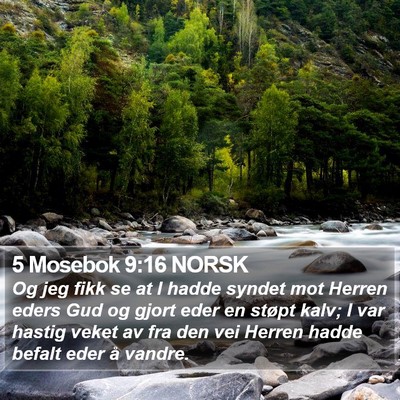 5 Mosebok 9:16 NORSK Bible Verse Image