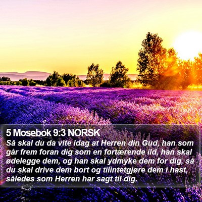 5 Mosebok 9:3 NORSK Bible Verse Image