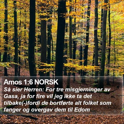 Amos 1:6 NORSK Bible Verse Image