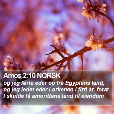 Amos 2:10 NORSK Bible Verse Image