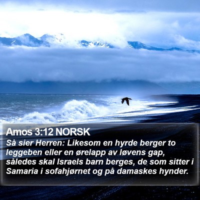 Amos 3:12 NORSK Bible Verse Image