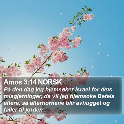 Amos 3:14 NORSK Bible Verse Image
