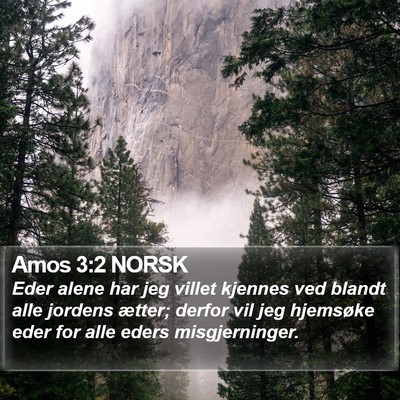 Amos 3:2 NORSK Bible Verse Image