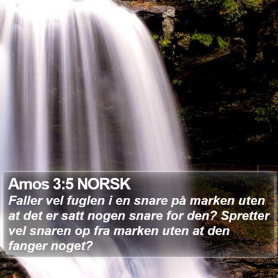 Amos 3:5 NORSK Bible Verse Image