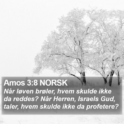 Amos 3:8 NORSK Bible Verse Image