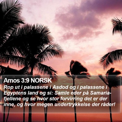 Amos 3:9 NORSK Bible Verse Image