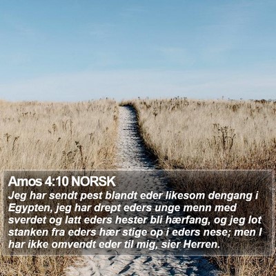 Amos 4:10 NORSK Bible Verse Image