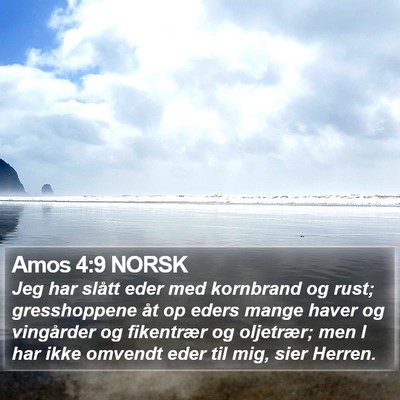 Amos 4:9 NORSK Bible Verse Image