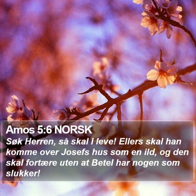 Amos 5:6 NORSK Bible Verse Image