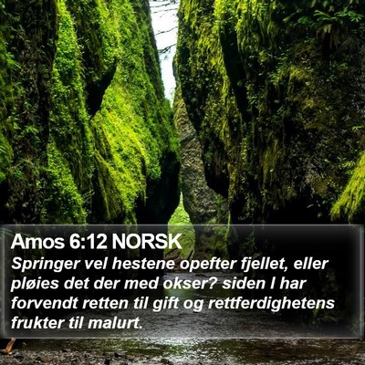 Amos 6:12 NORSK Bible Verse Image