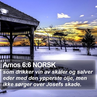 Amos 6:6 NORSK Bible Verse Image