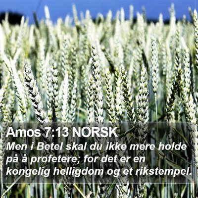 Amos 7:13 NORSK Bible Verse Image