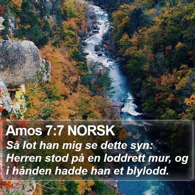 Amos 7:7 NORSK Bible Verse Image