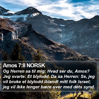 Amos 7:8 NORSK Bible Verse Image