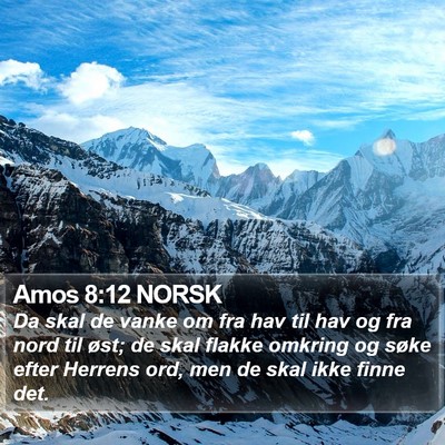 Amos 8:12 NORSK Bible Verse Image