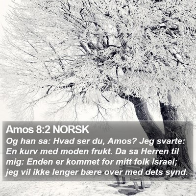 Amos 8:2 NORSK Bible Verse Image